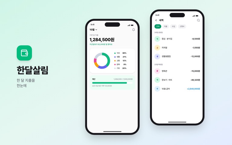 가상의 가계부 앱 두 화면
